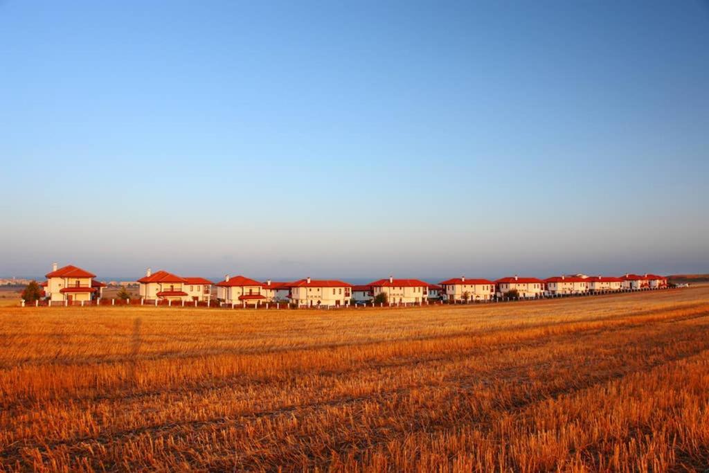 הוילה אהלוי Generaator House מראה חיצוני תמונה