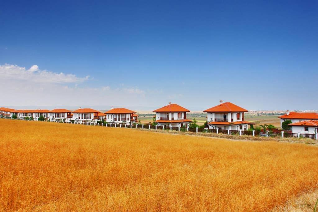 הוילה אהלוי Generaator House מראה חיצוני תמונה