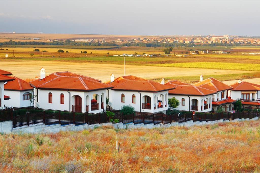 הוילה אהלוי Generaator House מראה חיצוני תמונה